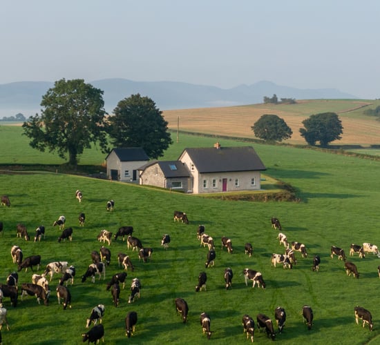 Farming couple showcase 'Home of the Year' cottage