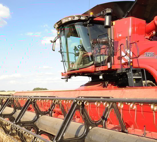 Machinery Focus: Mushrooms and fast horses - the growing technology gap