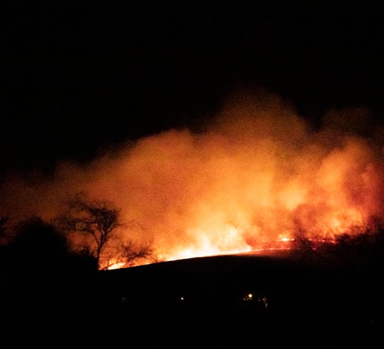 Over 16 hours to extinguish 'enormous' gorse fire in south east