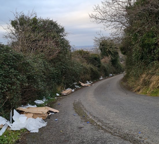 CCTV to be permitted in clampdown on illegal dumping