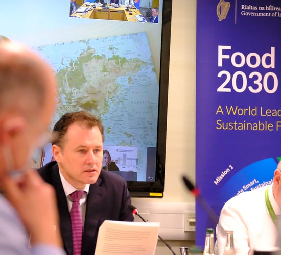 Food Vision Beef and Sheep Group final report published