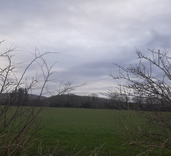 Weekend weather: Mostly dry, dull and mild