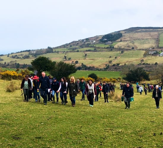 Agriland explores an organic hill farm in west Kerry