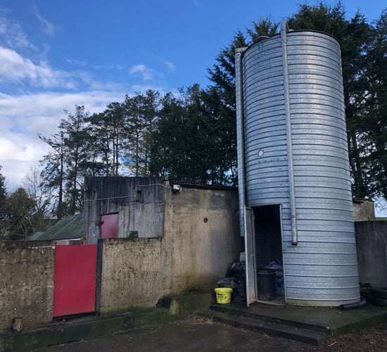 Feed costs set to jump as green diesel prices soar