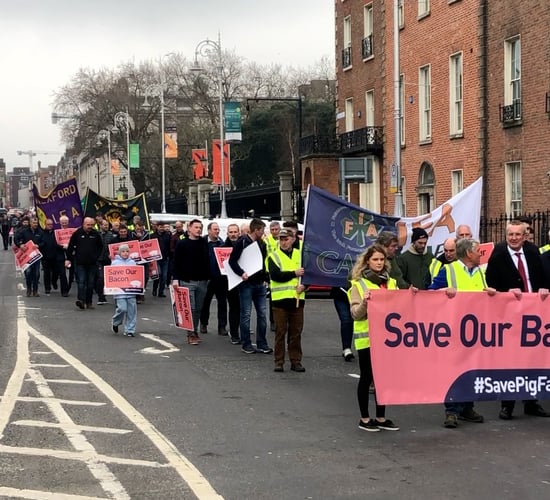 Agriland covers IFA pig protest at government buildings