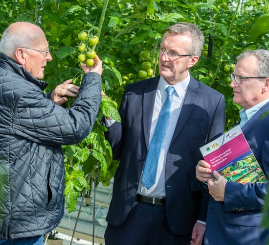 Jim Power: 'Absolutely disgraceful' if we need horticulture imports