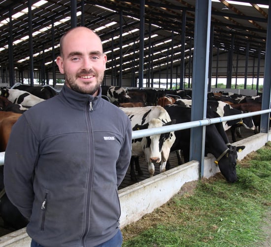 Saving on labour at a 500-cow Royal County farm