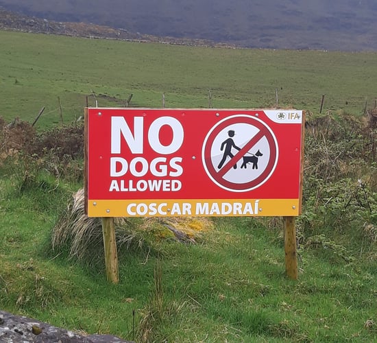 Call to ban dogs from farmland and hills before summer