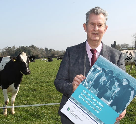 NI: Long-term bovine TB eradication-strategy launched