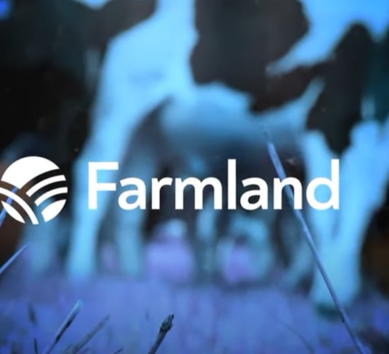 Watch: Farmland - Finishing beef efficiently and land designations