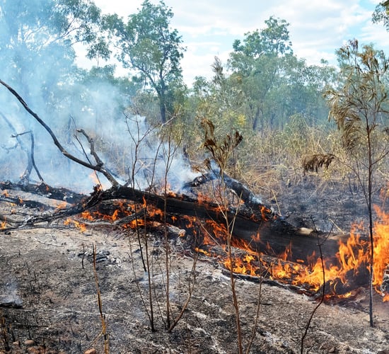 IPCC: Emissions must be cut to prevent threats to species and ecosystems