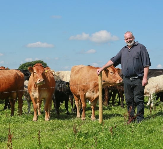How one family farm is investing for the future