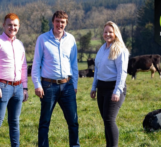 Ireland's first 'virtual livestock mart' opens for business