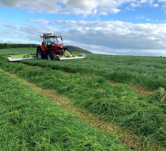 Fertilizer Association urges against seeking 'bulky' first cut of silage