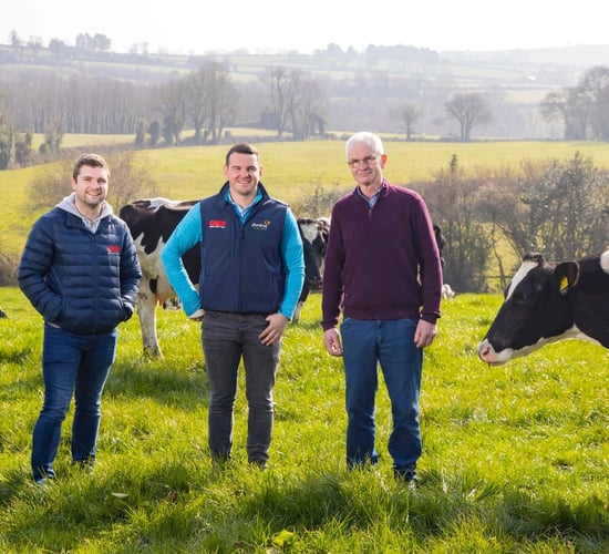 Maximising breeding results with GAIN Spring Breeder