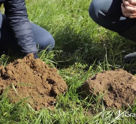 Soil structure and its impact on your herd's fertility