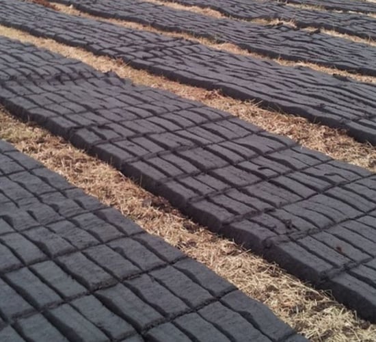 TD calls for 'definite decision' on buffer zones in turf cutting areas