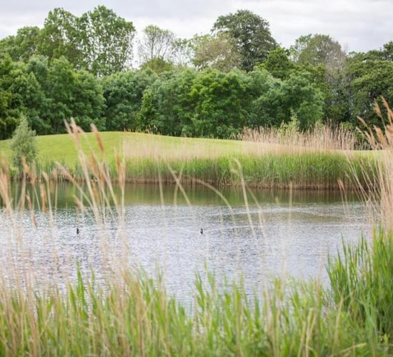 Ireland taken to European court for water and biodiversity failings