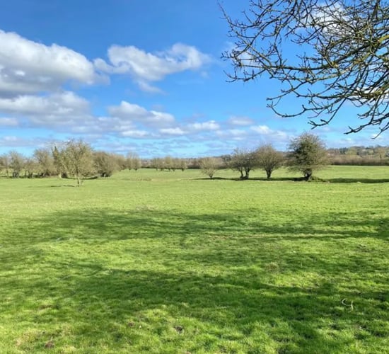 'Coveted' Kildare farm sells for €1.85m at auction