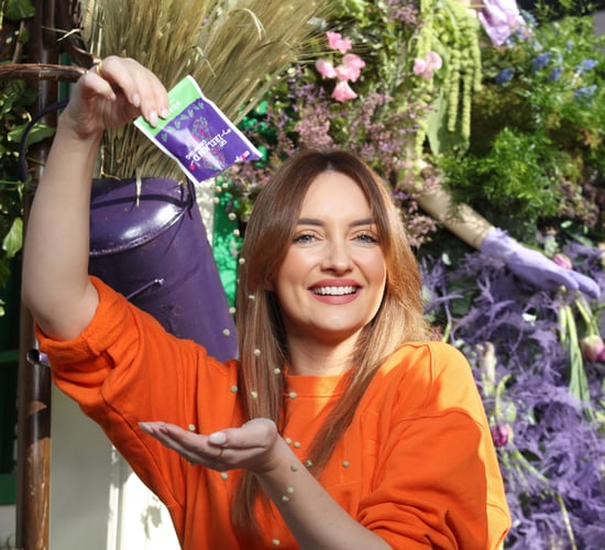 Initiative aims to 'Get Ireland Growing' and revive community action