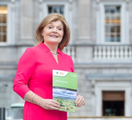 'Swift strategic government action' required in face of spiralling costs
