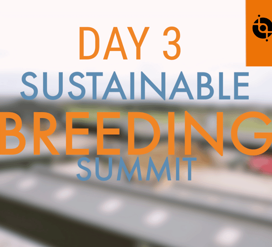 Sustainable Breeding Summit - Day 3