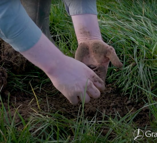 Teagasc Grass VESS Demonstration by Grassland Agro