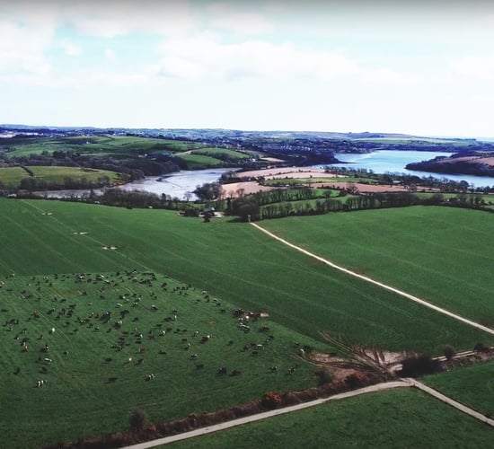 Kinsale based dairy farmer discusses how technology has revolutionised his livestock management