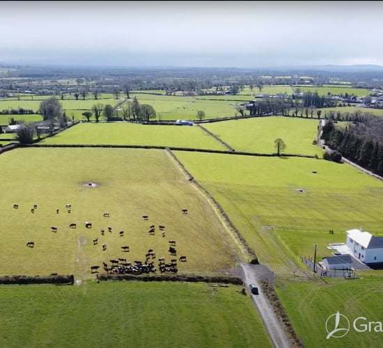 Soil Structure: Understanding the Key Components of Soil Health