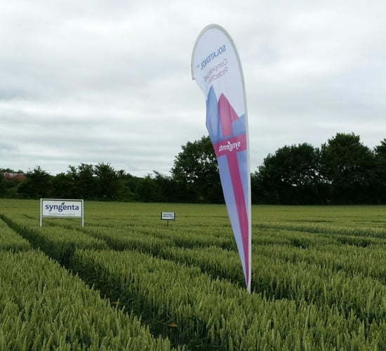 Multi-site fungicides are key to reliable disease control