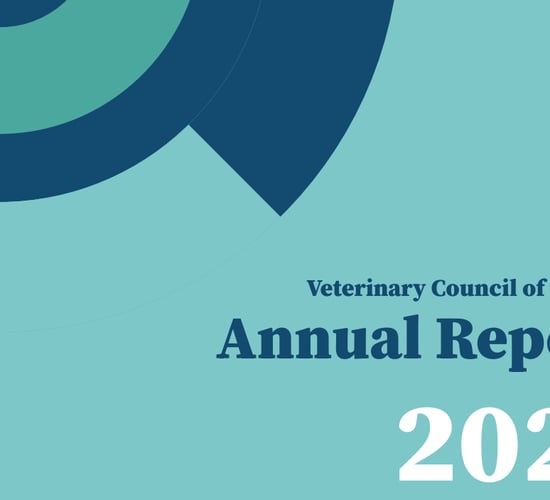 Veterinary Council of Ireland received 65 complaints in 2021