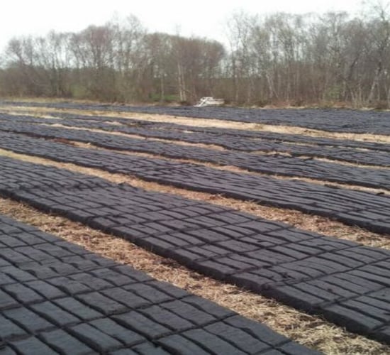 'One claim per household' under turf-cutting scheme - Noonan