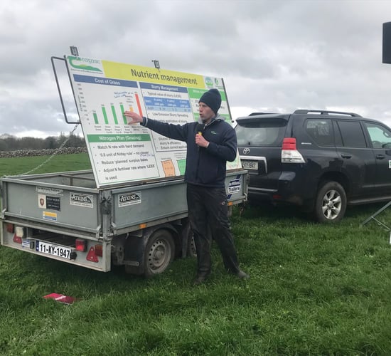 Clover walks: Cost of grass increased by 80%, but remains cheapest feed