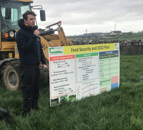 Clover walks: 'We still need to feed our stock next winter'