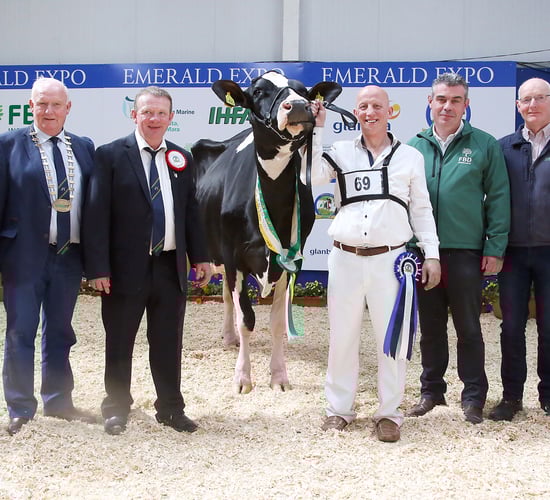 Baldonnel herd shines once again at Emerald Expo