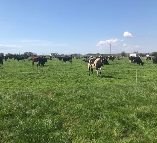 Building a rainy-day fund for your farm