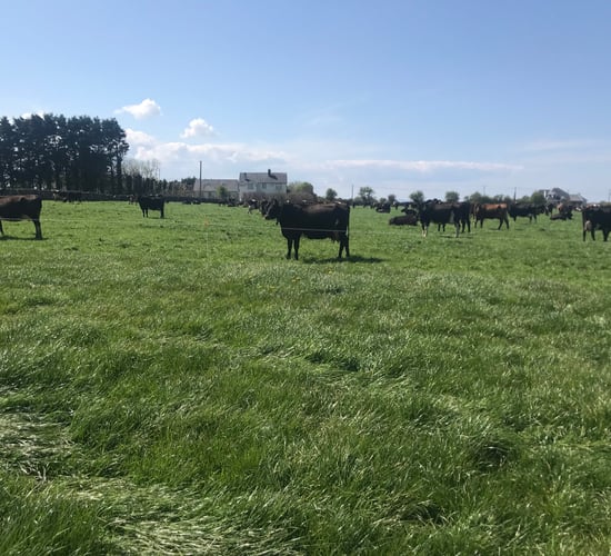 Attracting and retaining people on dairy farms