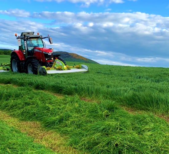 Dairy advice for the busy month of May