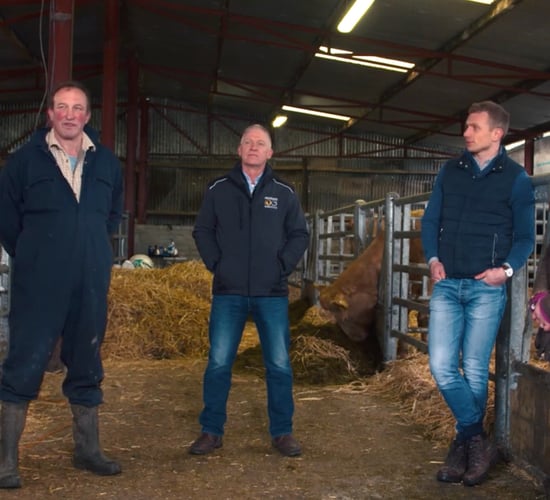 Sustainable Breeding Summit: Technology on suckler farms