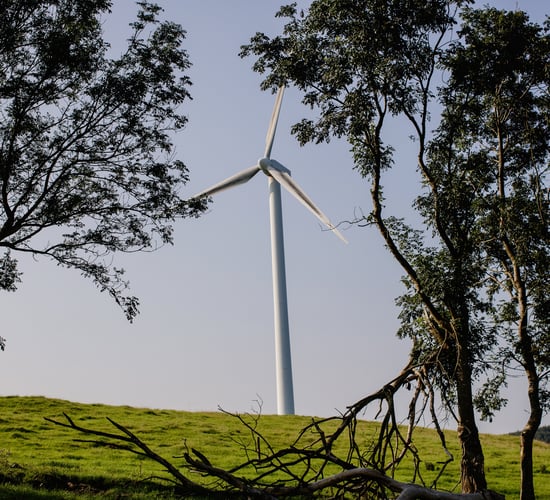 Understanding tax when it comes to farm renewables
