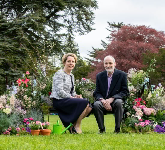Bord Bia Bloom to return to in-person Phoenix Park event