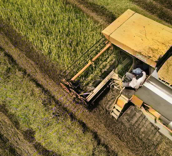 Bayer joins pledge to end world hunger