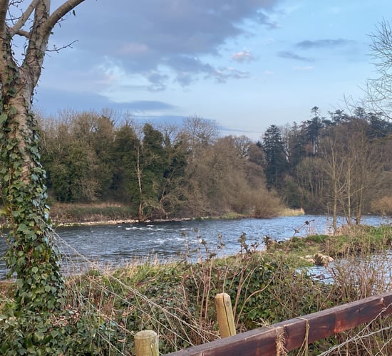 Dawn Meats plan to discharge water into Boyne denied on appeal