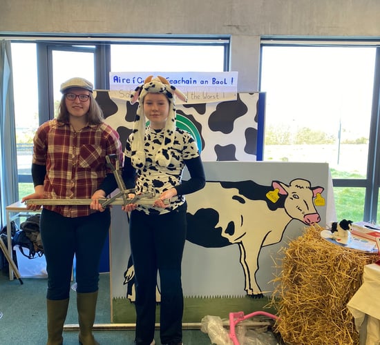 Calving jack safety device in Student Enterprise Award finals