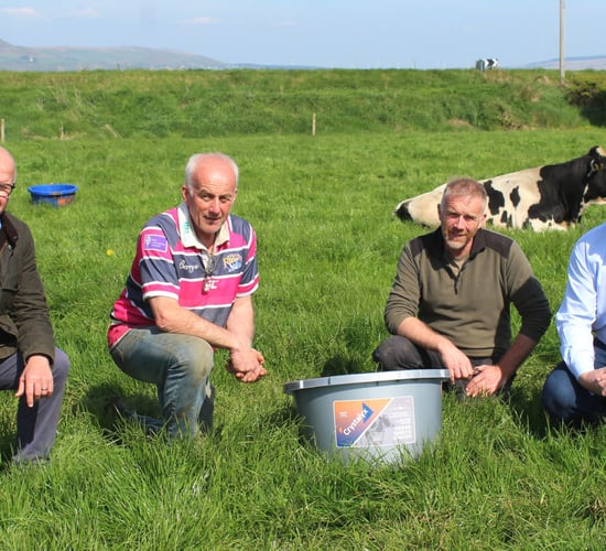 Six cuts of silage prove beneficial on Derry dairy farm