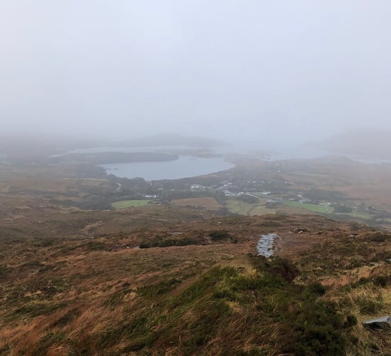Biodiversity - hunting invaders from Connemara