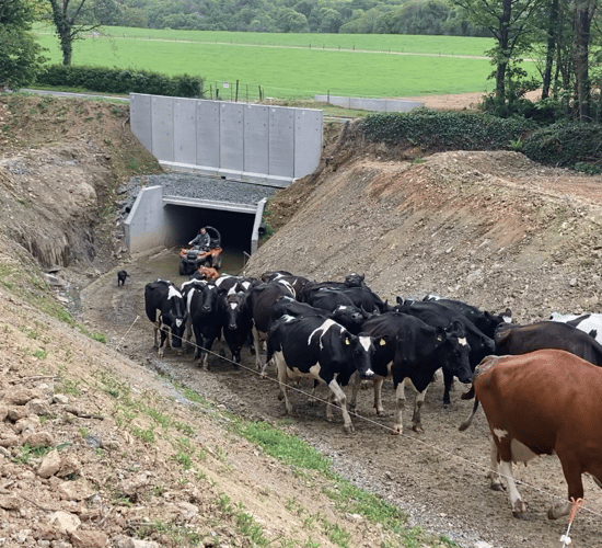 Infrastructure Focus: Opening up safe and easy access to 170ac with an underpass