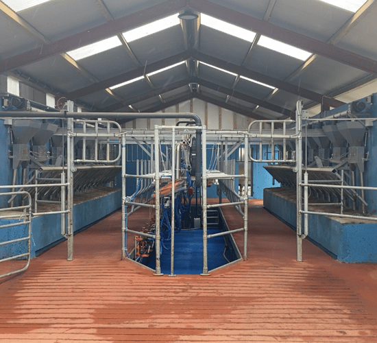 Buildings Focus: 16-unit parlour for 107 cows in Cork