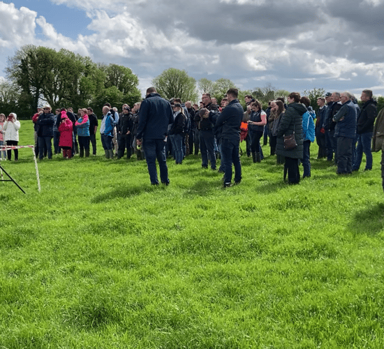 Roscommon farmers opt to contract-rear replacement ewe lambs