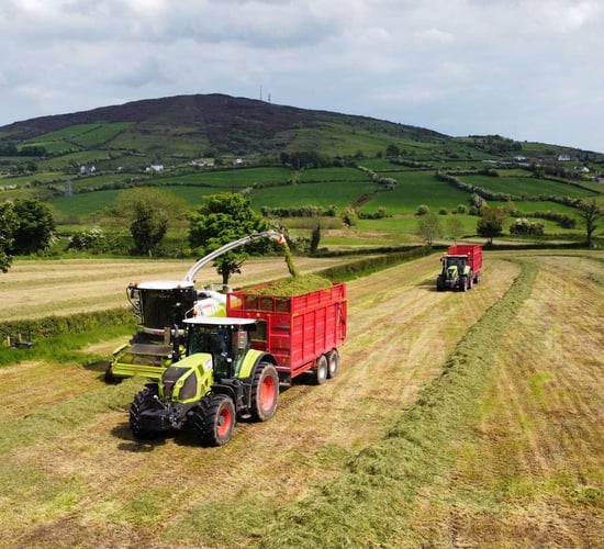 Pit silage: How much will it cost per acre this year?